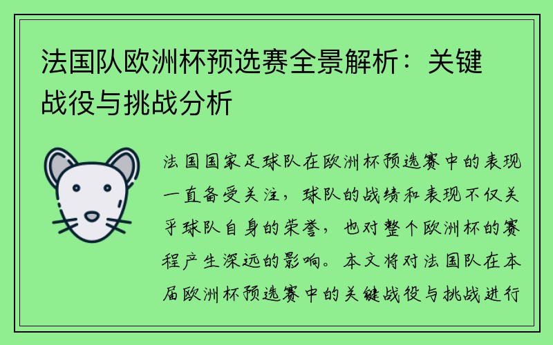 法国队欧洲杯预选赛全景解析：关键战役与挑战分析